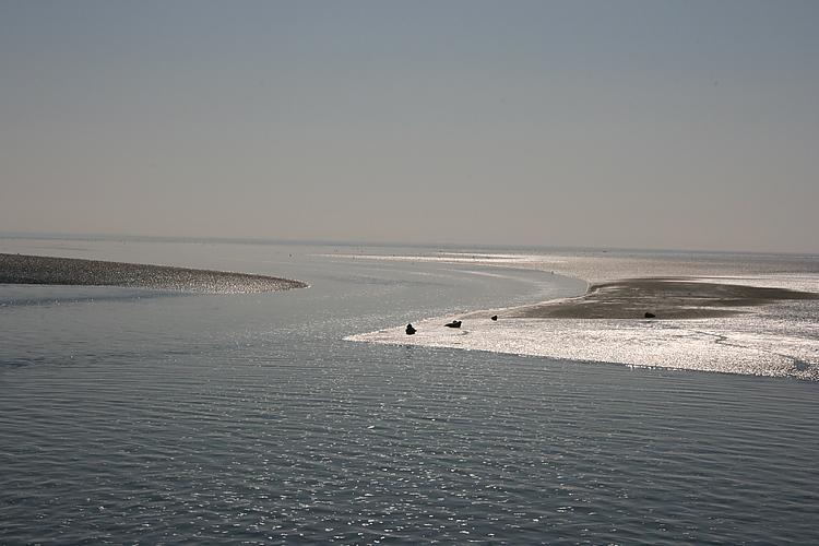 Beach-Dijkvilla Seaview Horizons 마쿰 객실 사진